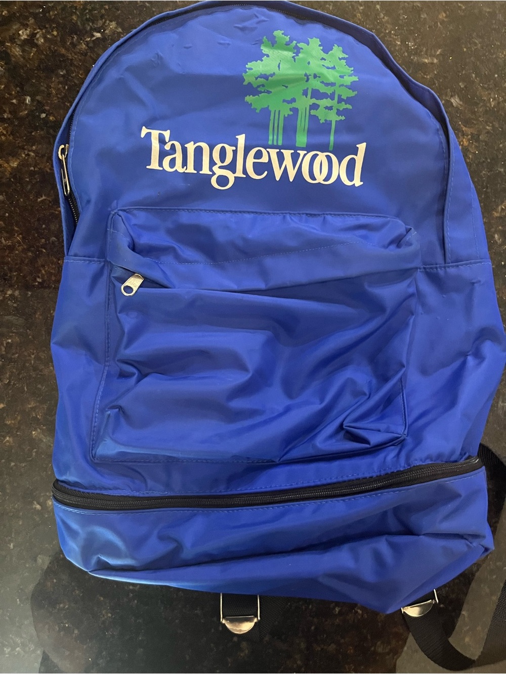 Tanglewood Symphony Festival Blue Backpack Daypack Travel Bag EUC